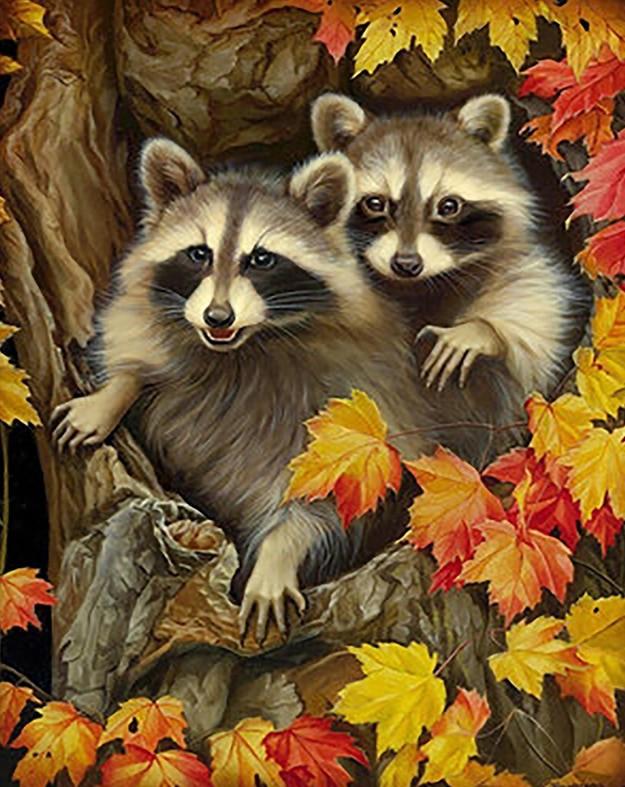 

Two Racoons – Paint By Numbers - 40*50CM, 501 Original