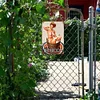 Woman - Metal Tin Signs(8*12Inch)