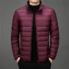New Men's Stand Collar Lightweight Fashionable Casual Down Jacket