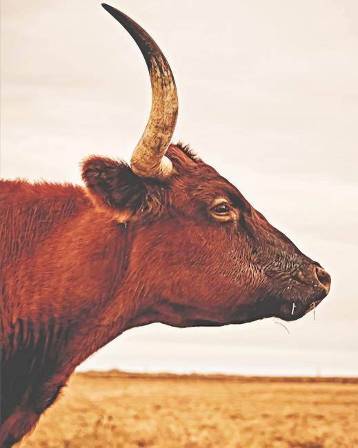 

Bull – Paint By Numbers - 40*50CM, 501 Original
