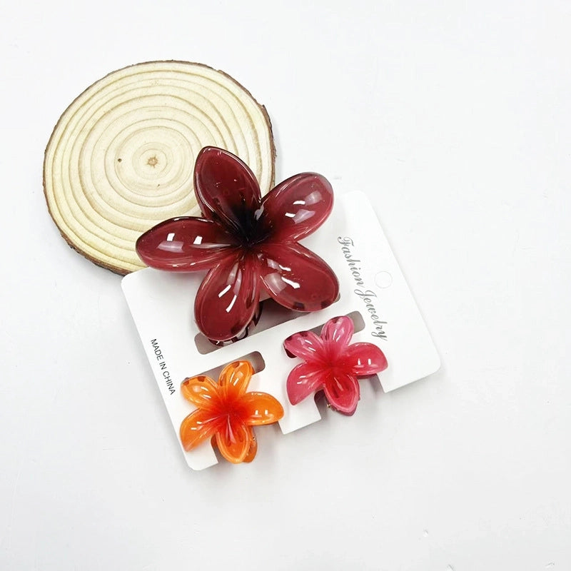Vacation Modern Style Women’s Flower Resin Hair Claws