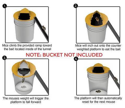 Humane Mouse Trap