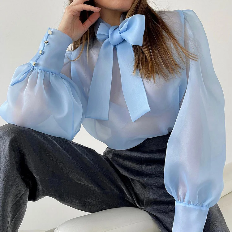 Personalized Bow See-through Long Sleeve Tops - yankia