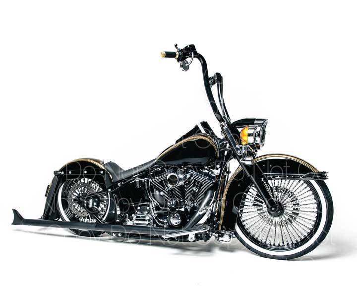 Harley Davidson Softail Custom Motorcycle 8X10 Photo Poster painting picture poster print RP