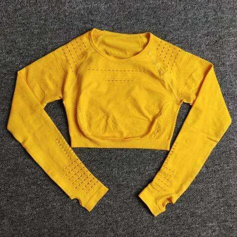 PASUXI Newest Sexy Sports Long Sleeve Womens Stretch And Thin Skinny Yoga Wear Breathable Mesh Gym Clothes huanwei