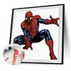 Painting By Numbers - Spider(20*20cm)