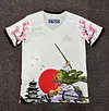 2024/2025 Japan One Piece Santoryu Zoro Football Jersey 1:1 Thai Quality
