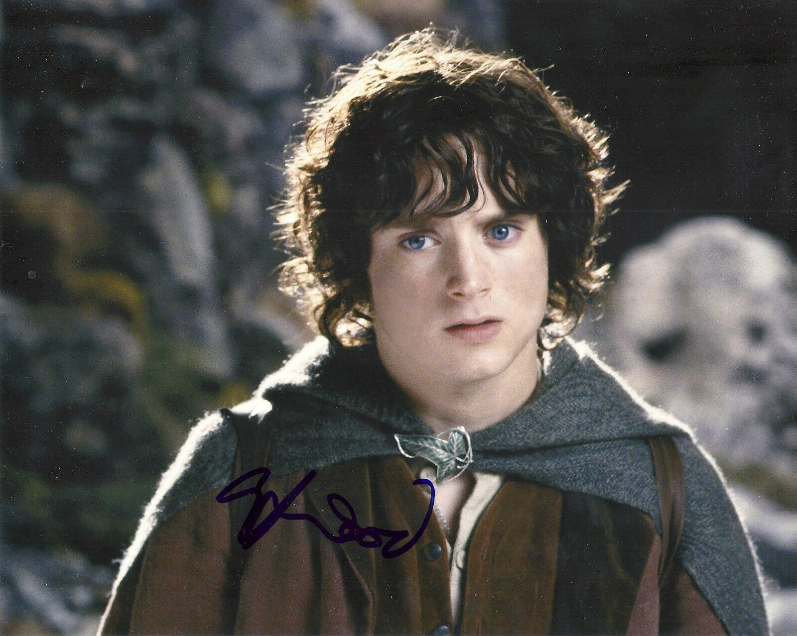 ELIJAH WOOD 'LORD OF THE RINGS' FRODO BAGGINS SIGNED 8X10 PICTURE *COA 2