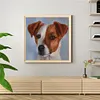 uk.everydayedeals (Limited Stock)Paint By Number - Oil Painting -  Dog (40*40Cm)