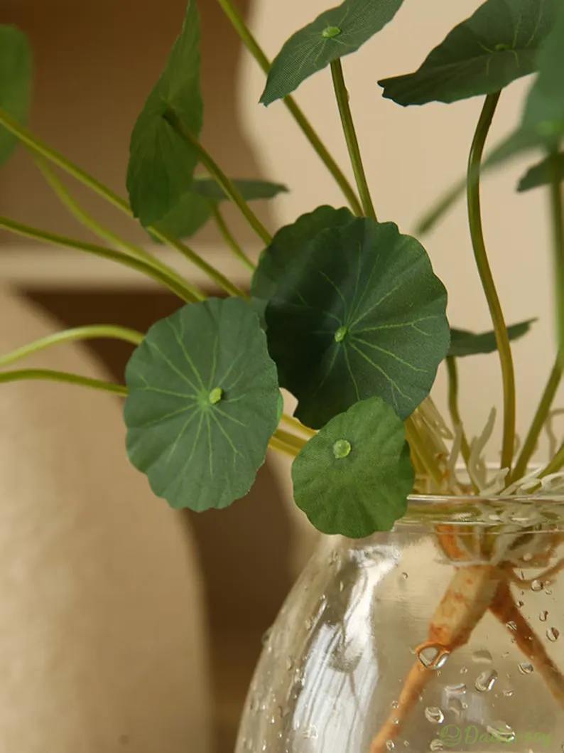 Copperleaf Seeds: Grow Your Own Luck and Prosperity! 🌿💰