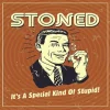 Special Kind of Stupid - Metal Tin Signs(8*12Inch/12*16Inch) - Bar
