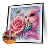 DIY Partial Special Shaped Drill Diamond Painting-Bird