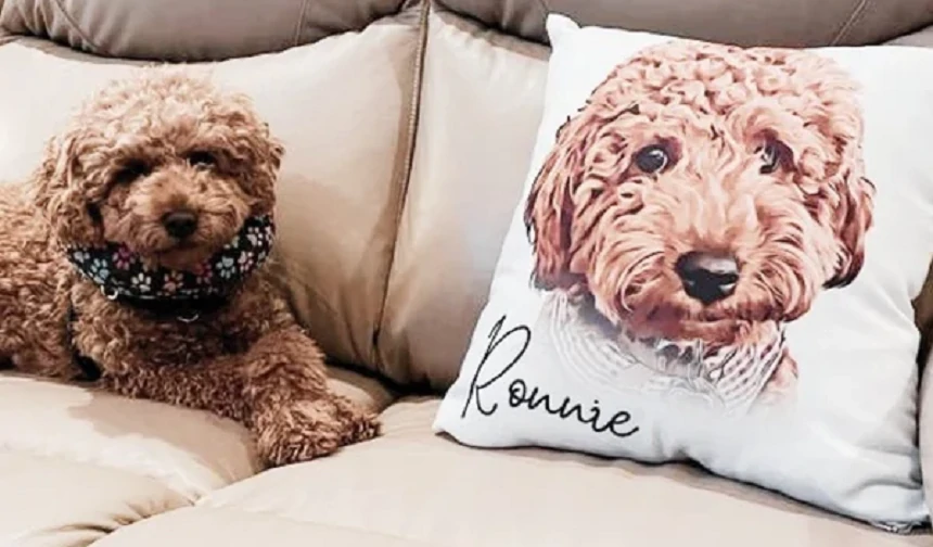Forever in Your Arms: Custom Pillows as Pet Memorial Keepsakes