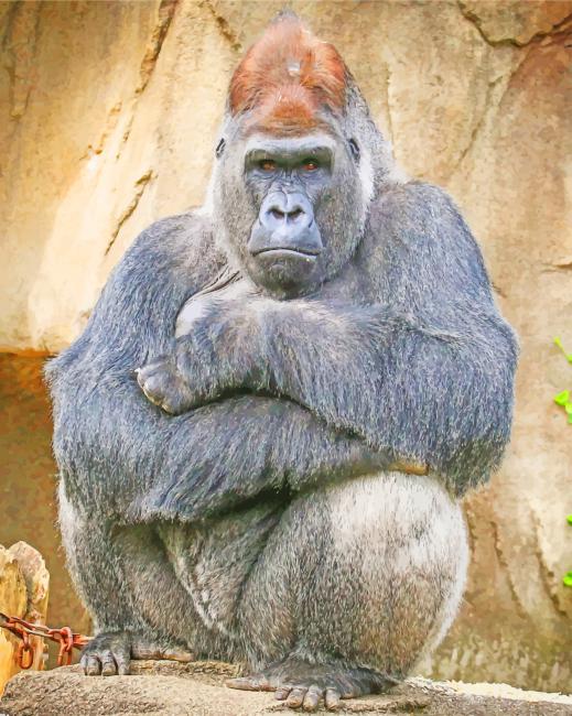

Sad Gorilla – Paint By Numbers - 40*50CM, 501 Original