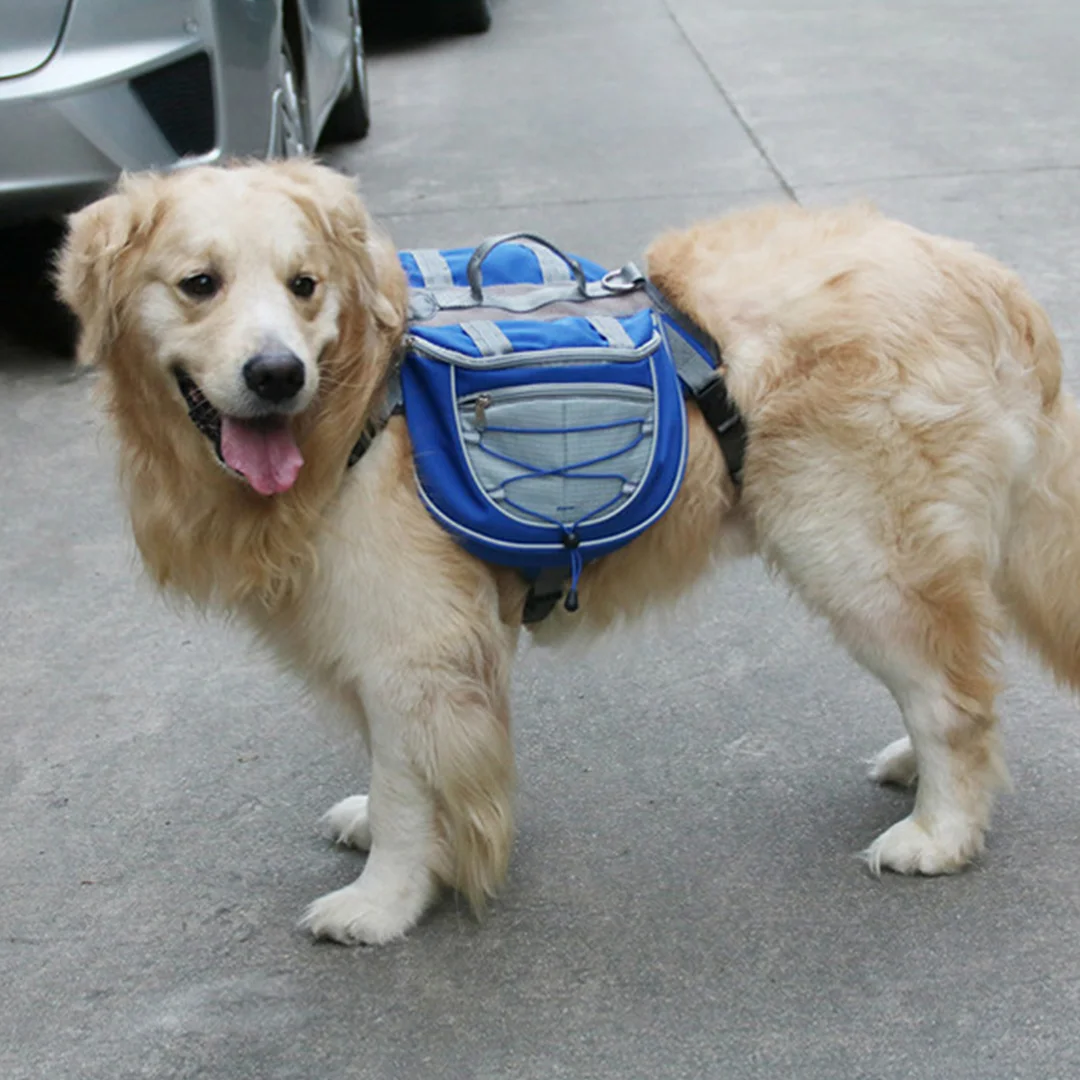 High Shoulder Pet Carrier  