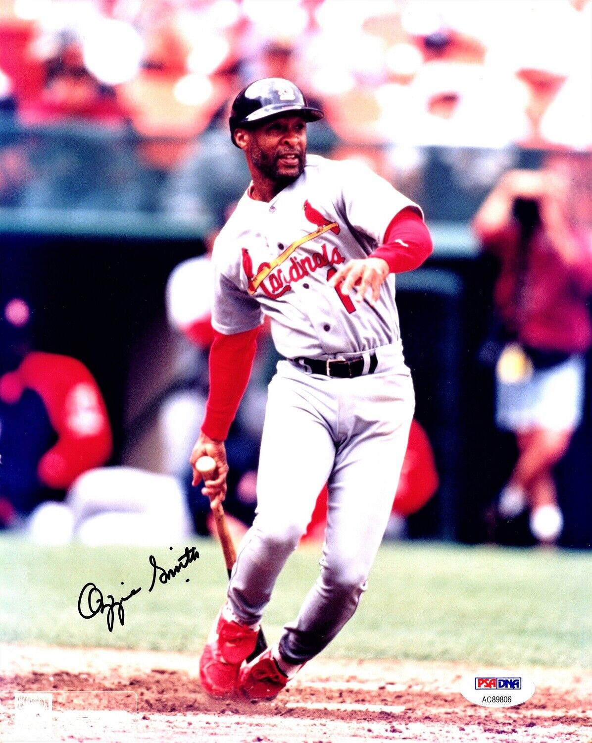 Ozzie Smith Signed Autographed St. Louis Cardinals 8x10 inch Photo Poster painting + PSA/DNA COA