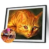 Diamond Painting -DIY Full Square Drill Cat
