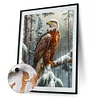Eagles - Paint by Numbers Acrylic Painting 40*50cm
