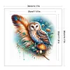 Owl-Partial 11CT Stamped Cross Stitch Bead Embroidery 36*36cm/14.17*14.17in tapestrymarket