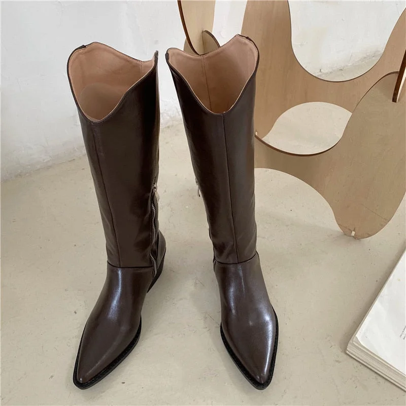 Women's High Heels Wedges Boots Lady Riding Cowboy Long Boots 2021 Spring Winter Designers Pointed Toe Knee Fashion Female Boot