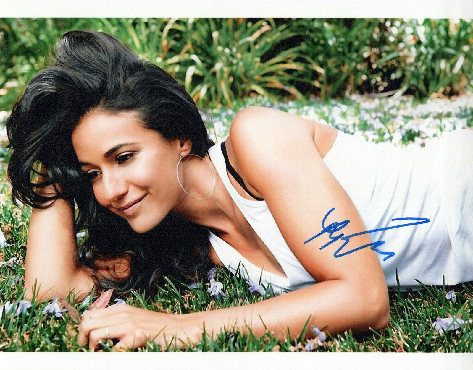 Emmanuelle Chriqui glamour shot autographed Photo Poster painting signed 8x10 #23