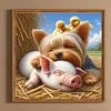 Diamond Painting -DIY Full Square Drill Dog Pig(45x45cm)