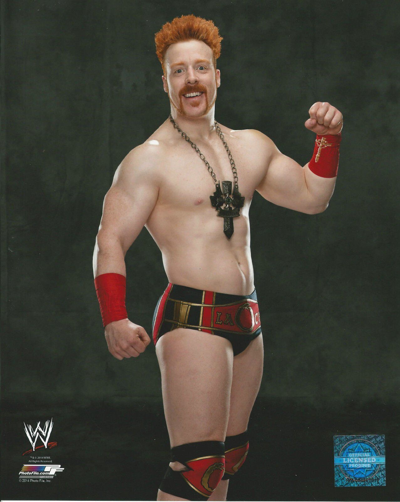 WWE SHEAMUS OFFICIAL LICENSED 8X10 WRESTLING Photo Poster paintingFILE Photo Poster painting 2