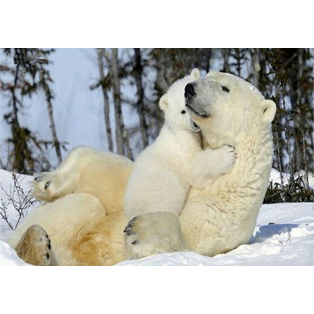

Bear - Square Drill Diamond Painting - 40*30CM, 501 Original