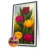 Best lowest diamond painting - Coodeals diamond painting