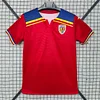 2025-2026 Romania Away Football Shirt 1:1 Thai Quality