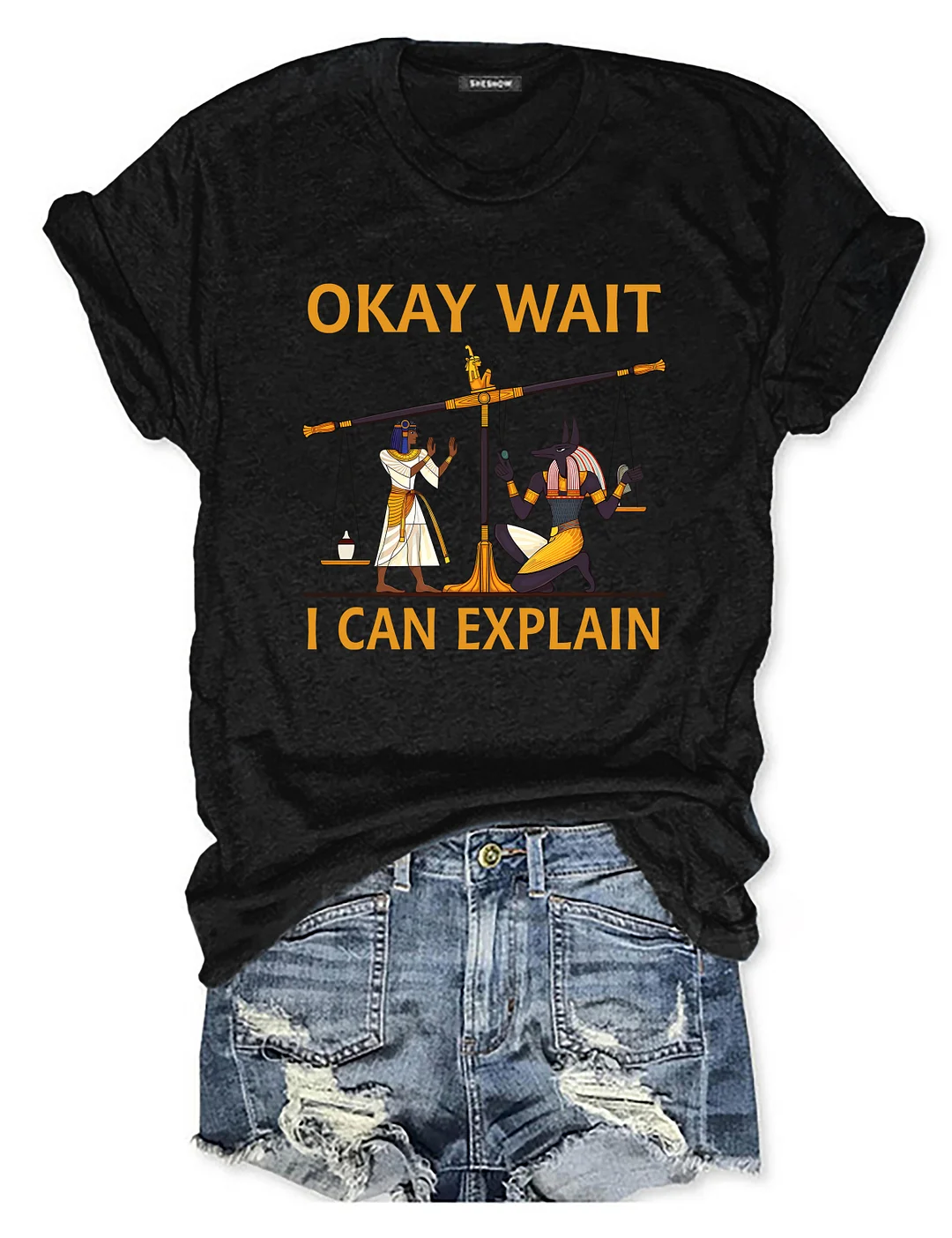 Okay Wait I Can Explain T-shirt