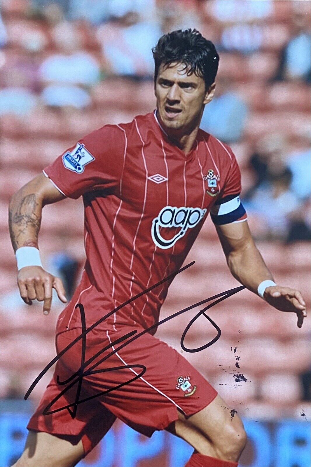 Jose Fonte Genuine Hand Signed Southampton 6X4 Photo Poster painting