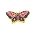 Dreamy Celestial Butterfly
