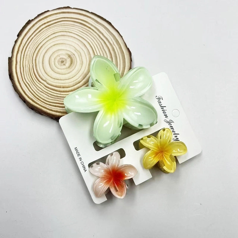 Vacation Modern Style Women’s Flower Resin Hair Claws
