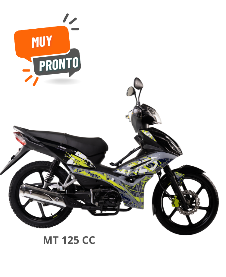 MOTOR MT 125 CC