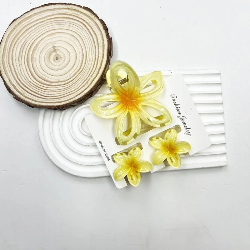Vacation Modern Style Women’s Flower Resin Hair Claws
