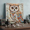 Framed Diamond Painting - Special Shaped - Owl(25x25cm)