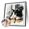 Cat-Paint by Numbers Cat 40*40CM