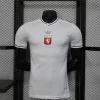 25/26 Player Lyon White Anniversary Edition Soccer Jersey