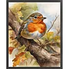 (US Only)Robin Printed Cross Stitch Kit 40x50cm DIY 11CT Embroidery Craft Set Home Decor