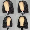 Bob Wigs 100% Human Hair Straight Wig 5x5 Lace Closure Wig 12inches Black Hair Pre Plucked 
