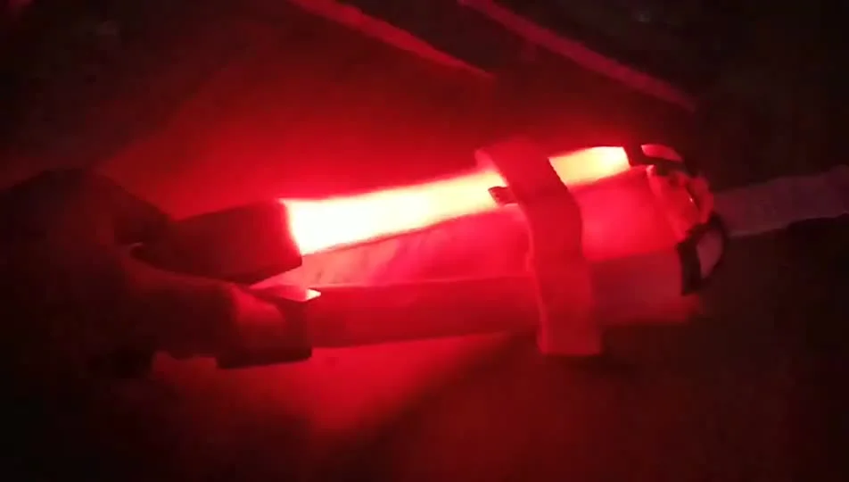 2025 Hot Selling LED Flaring Pet Vest Harness PP Material for Dogs and Cats with Leash Used for Walking the Dog at Night