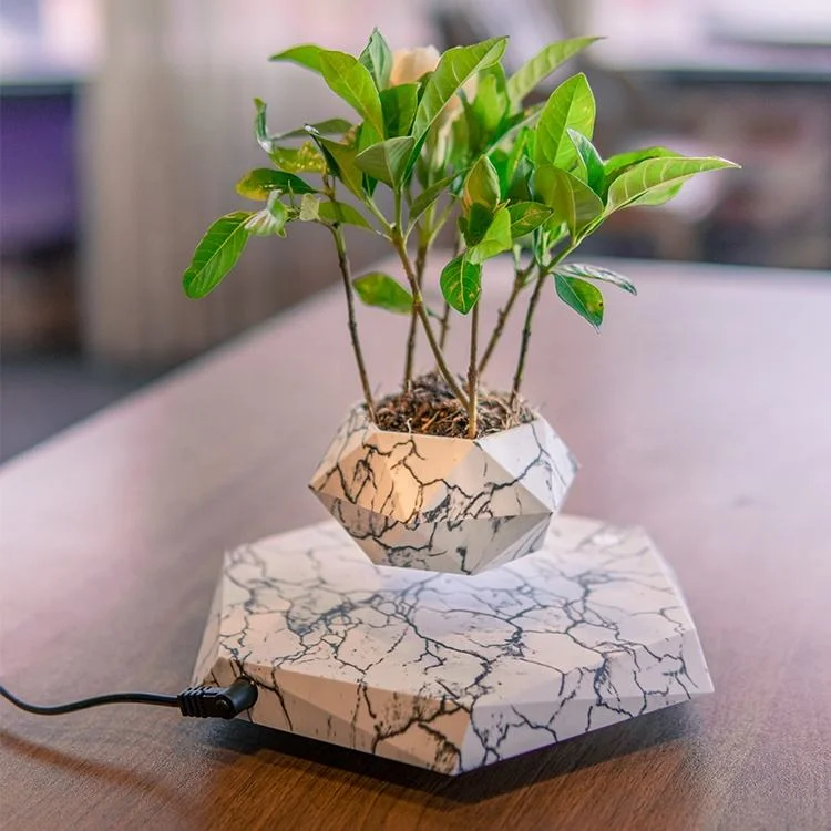 Levitating Floating Bonsai Tree Planter