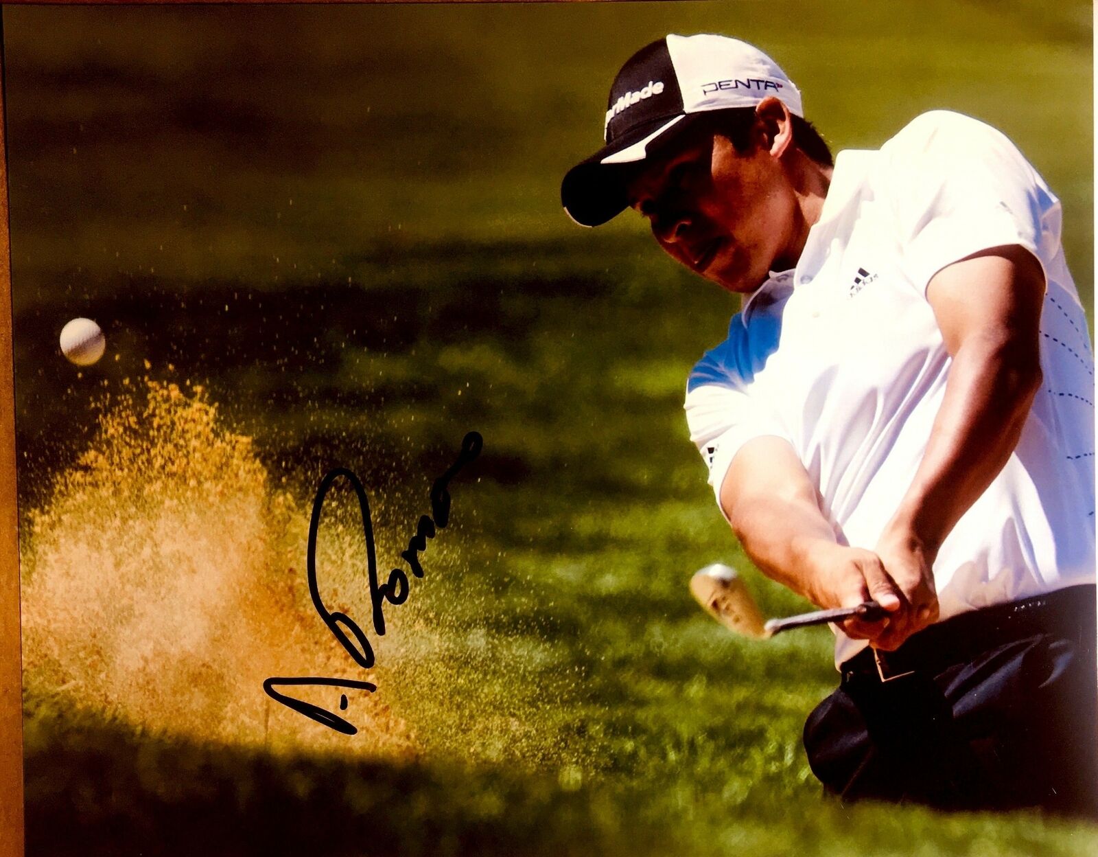 Andres Romero Signed 8x10 Photo Poster painting PGA Tour Golfer Golf Masters Autograph Auto