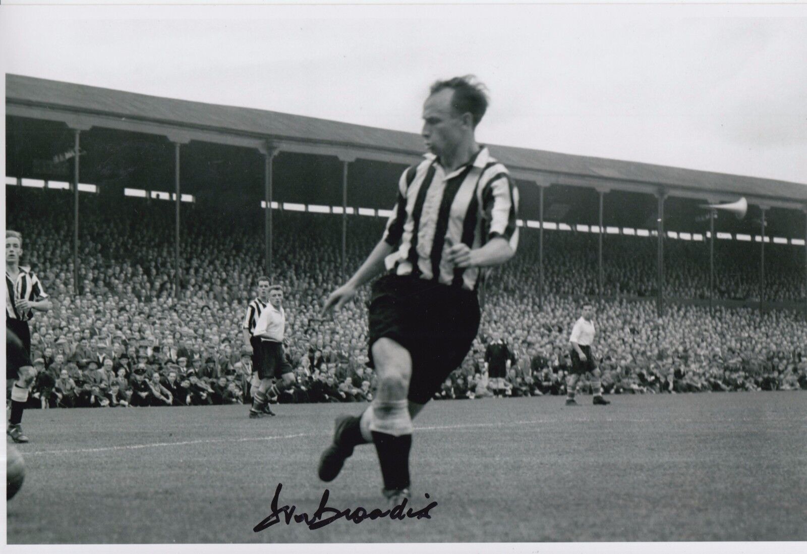 Ivor Broadis Hand Signed Newcastle United 12x8 Photo Poster painting 1.