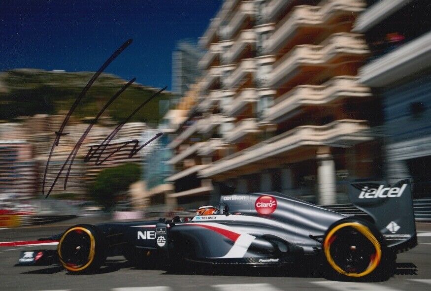 NICO HULKENBERG HAND SIGNED 12X8 Photo Poster painting SAUBER F1 AUTOGRAPH