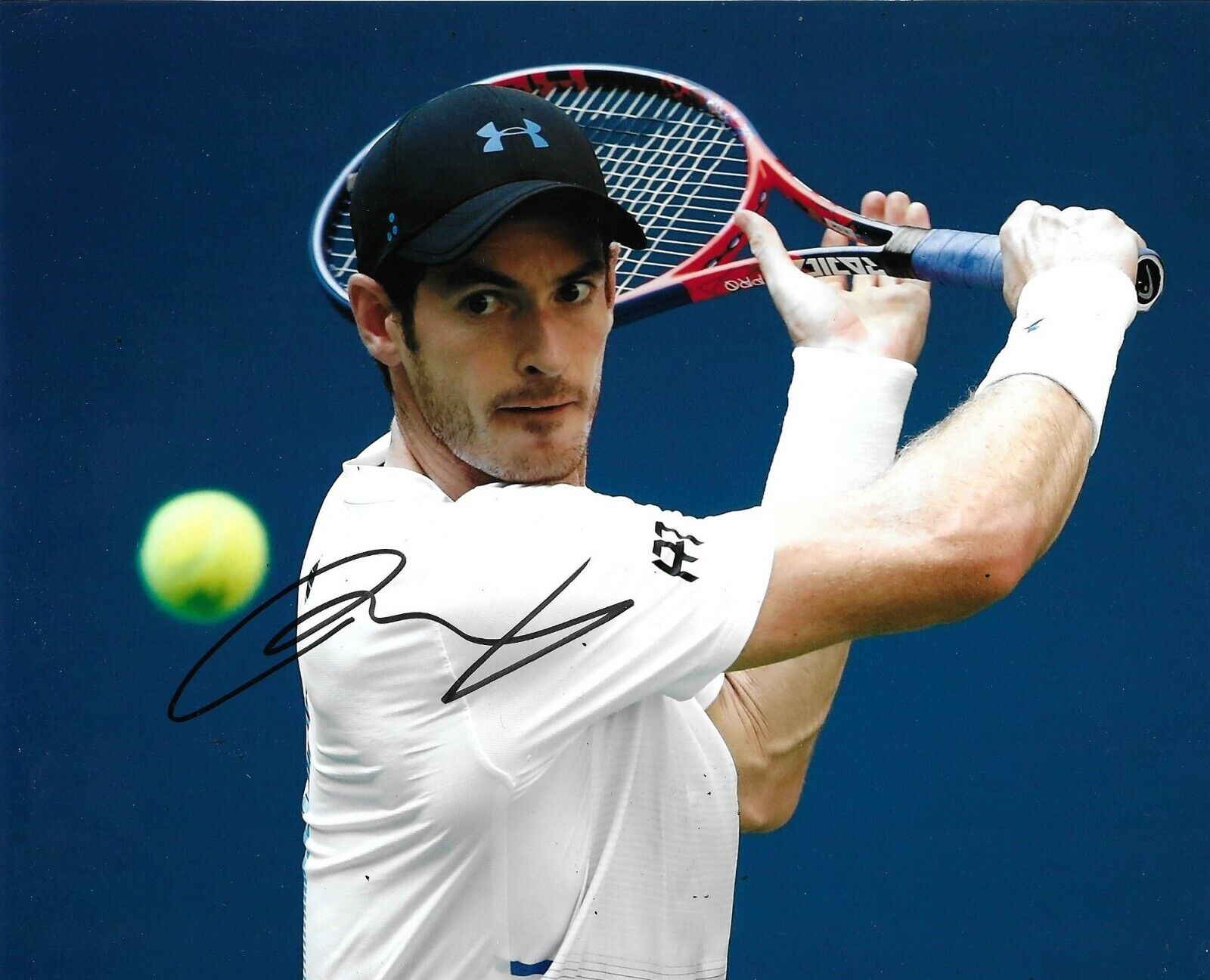 Andy Murray Signed 10x8 Photo Poster painting AFTAL