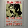 Frank Zappa - Acrylic Wall Art - 30*40cm