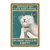 White Cat - Vintage Metal Signs - 20*30cm/30*40cm