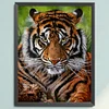 (Big Size)Tiger - 11CT Stamped Cross Stitch - 45*60cm - Animal